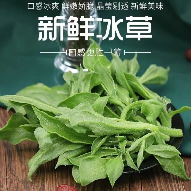 精品冰草山东基地直供一手货源对接超市批发商欢迎来电