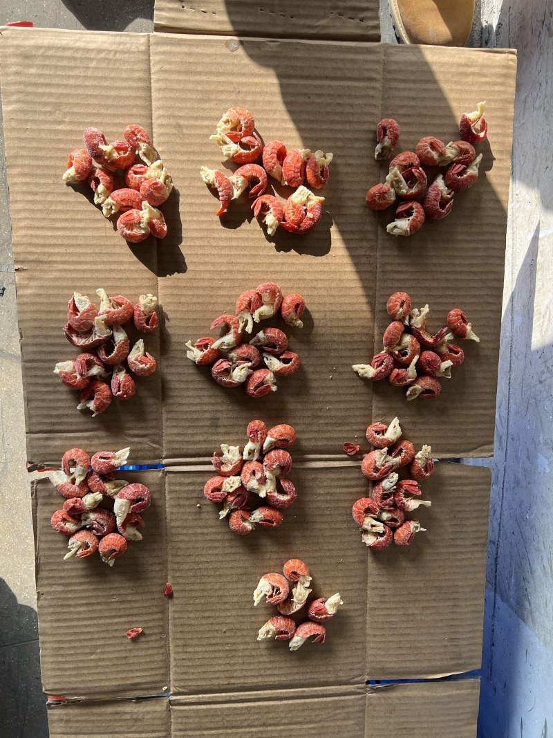 无冰衣单冻干冻小龙虾尾特级一级二级三级次品厂家直销