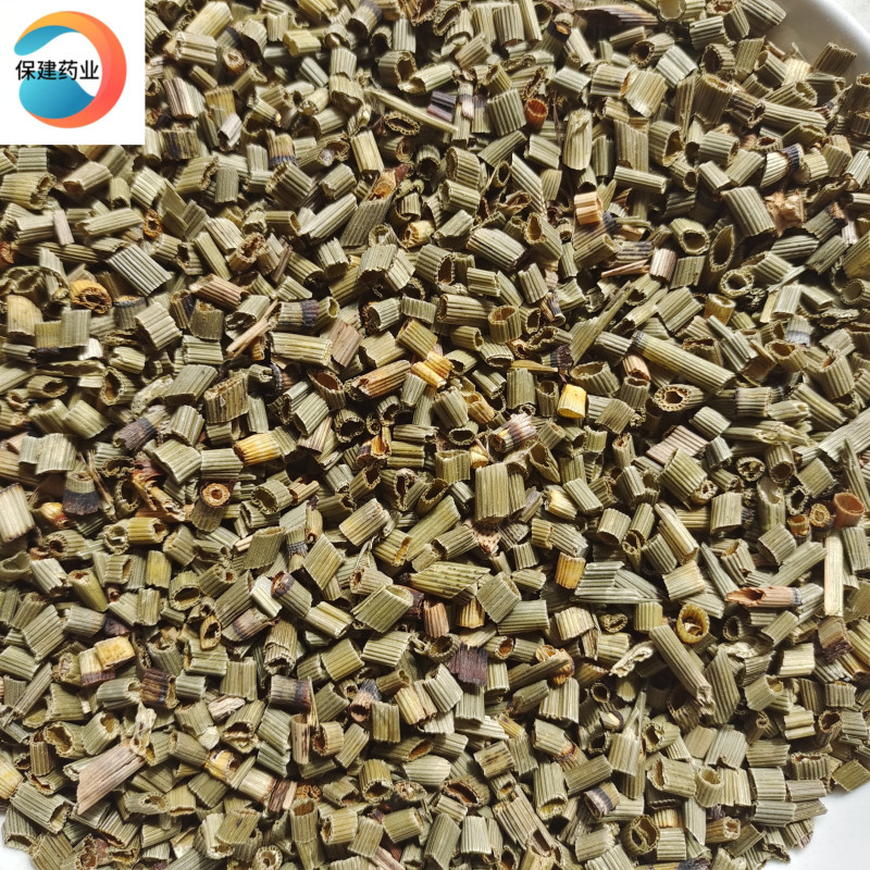 精品木贼选货新货颜色好质量好价格低产地吉林省