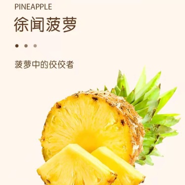 广东徐闻新鲜菠萝愚公楼菠萝广东徐闻特产菠萝的海