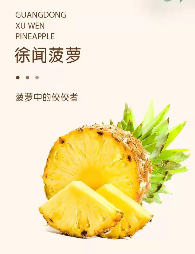 广东徐闻新鲜菠萝愚公楼菠萝广东徐闻特产菠萝的海