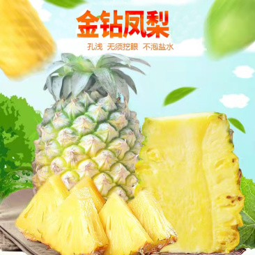 广东徐闻凤梨菠萝的海广东徐闻特产中国地理保护产品