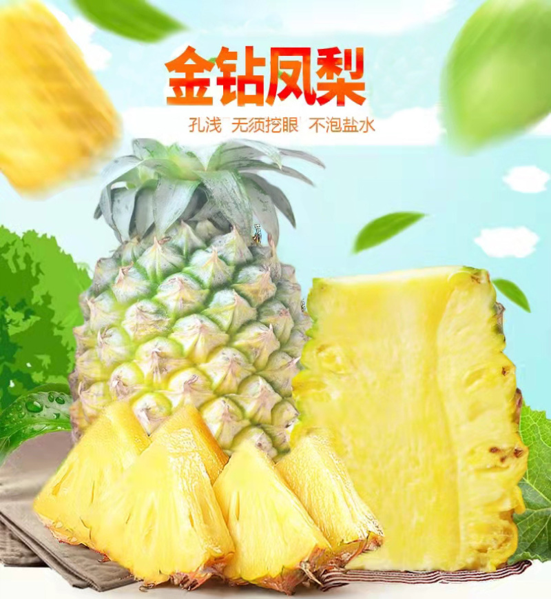 广东徐闻凤梨菠萝的海广东徐闻特产中国地理保护产品