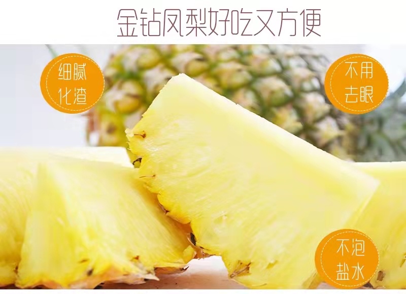 广东徐闻凤梨菠萝的海广东徐闻特产中国地理保护产品