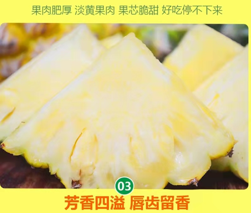 广东徐闻凤梨菠萝的海广东徐闻特产中国地理保护产品