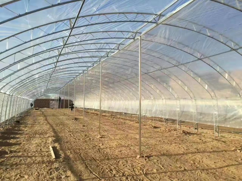 蔬菜大棚简易大棚冷棚小拱棚成套大棚蘑菇棚大棚骨架春秋棚