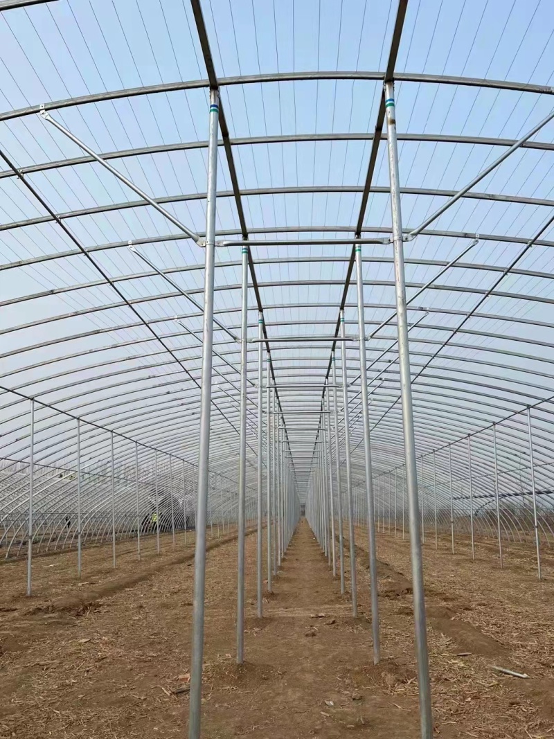 蔬菜大棚简易大棚冷棚小拱棚成套大棚蘑菇棚大棚骨架春秋棚