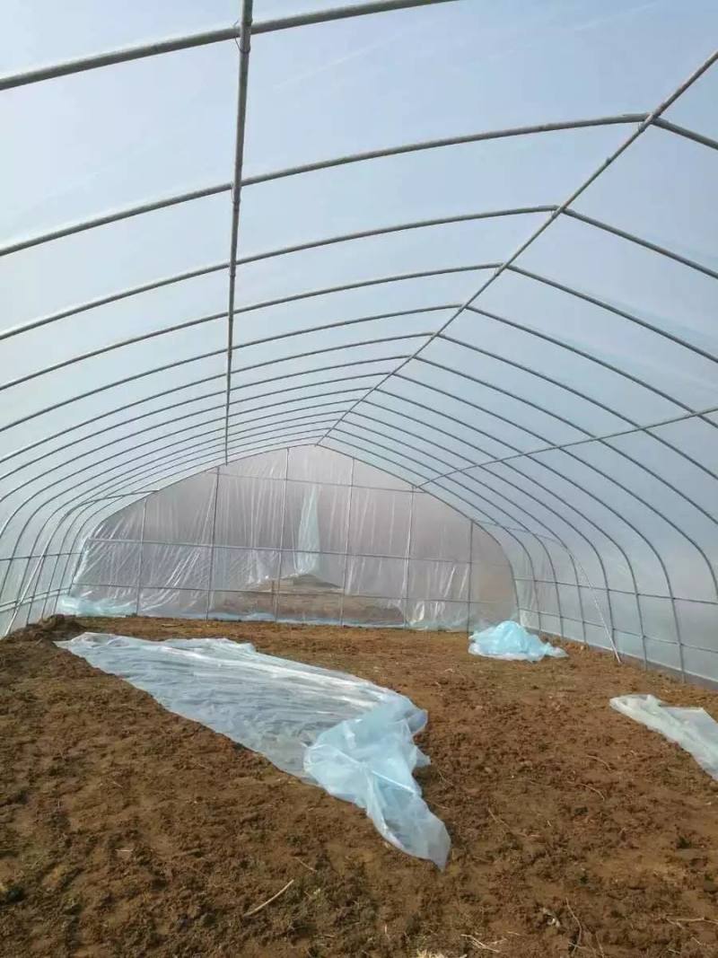 蔬菜大棚简易大棚冷棚小拱棚成套大棚蘑菇棚大棚骨架春秋棚
