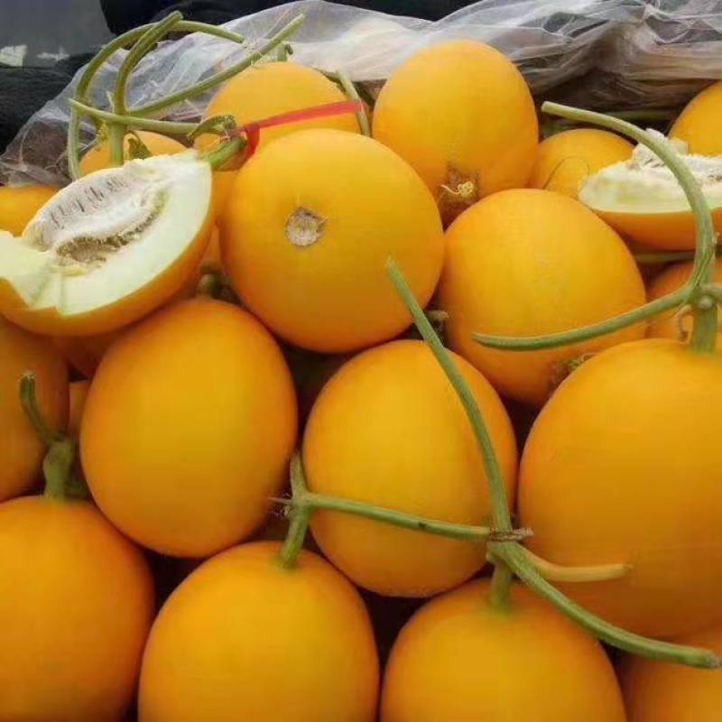 【品质保证】久瑞红产地直销，承接电商.超市.市场供应。