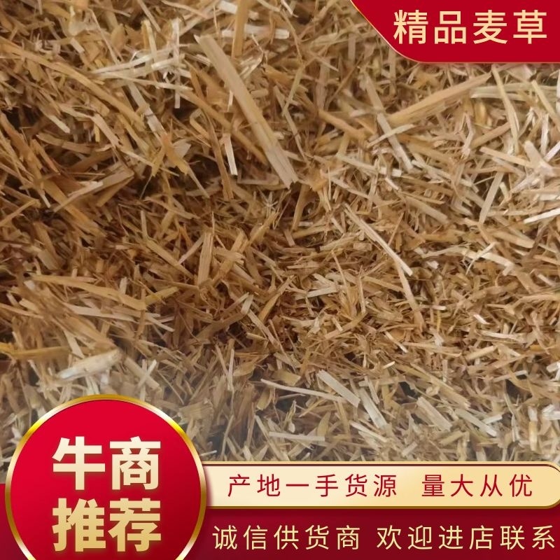 牛羊饲料麦草秸秆，柔丝除尘麦草大量出售！欢迎实力老板签单
