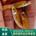 【金丝草鱼苗】黄金草鱼苗观赏养玩可食用好品质易养活