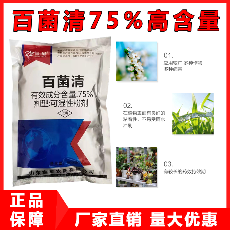 蓝粉75%百菌清蔬菜果树叶斑病白粉病霜霉病锈病炭疽病农