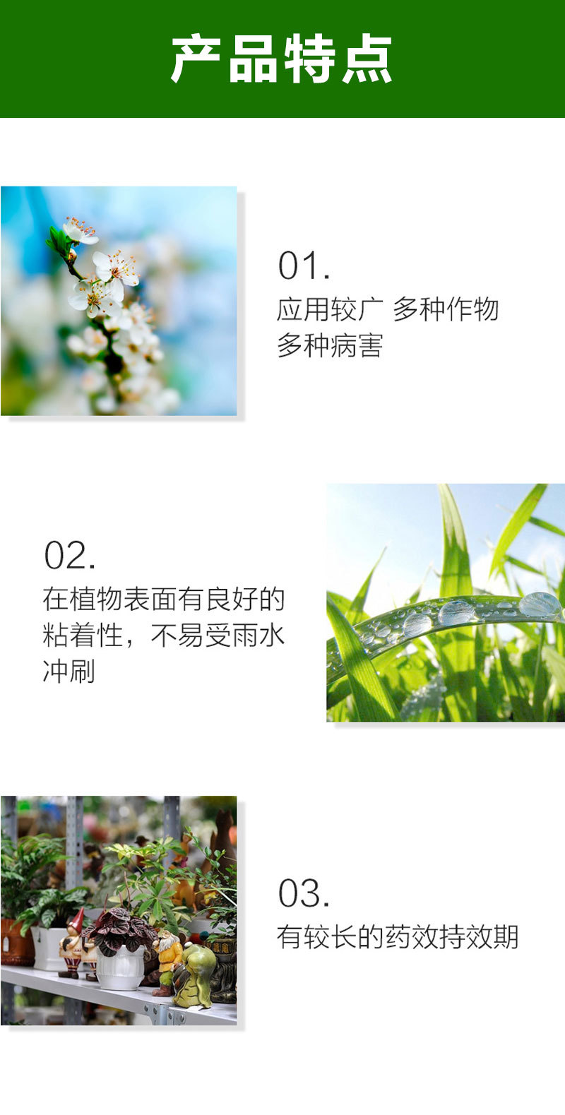 蓝粉75%百菌清蔬菜果树叶斑病白粉病霜霉病锈病炭疽病农