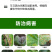 蓝粉75%百菌清蔬菜果树叶斑病白粉病霜霉病锈病炭疽病农