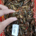 湖北潜江小龙虾小青小红2-4钱货源稳定规格齐全
