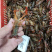 湖北潜江小龙虾小青小红2-4钱货源稳定规格齐全
