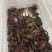 潜江小龙虾中青中红4-6钱