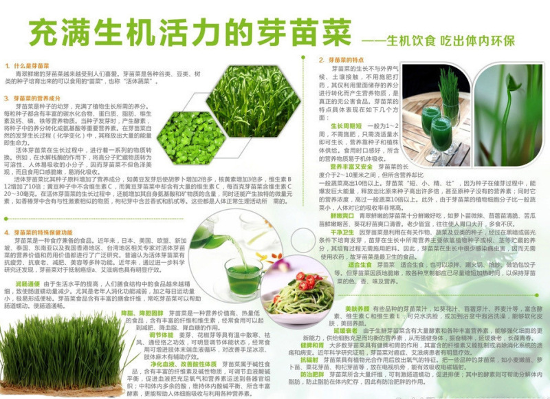 芽苗菜育苗盘，平底芽苗菜育苗盘，穴盘育苗盘，加长可叠加