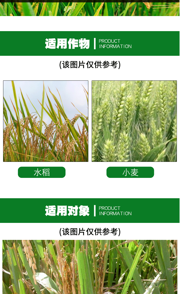 噻呋酰胺24%花生水稻纹枯病葡萄白腐病褐斑病黑痘炭疽病