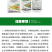 噻呋酰胺24%花生水稻纹枯病葡萄白腐病褐斑病黑痘炭疽病