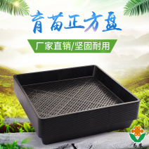 育苗盘田园方盘芽苗菜玛咖石斛多肉育苗盘芽苗菜盘