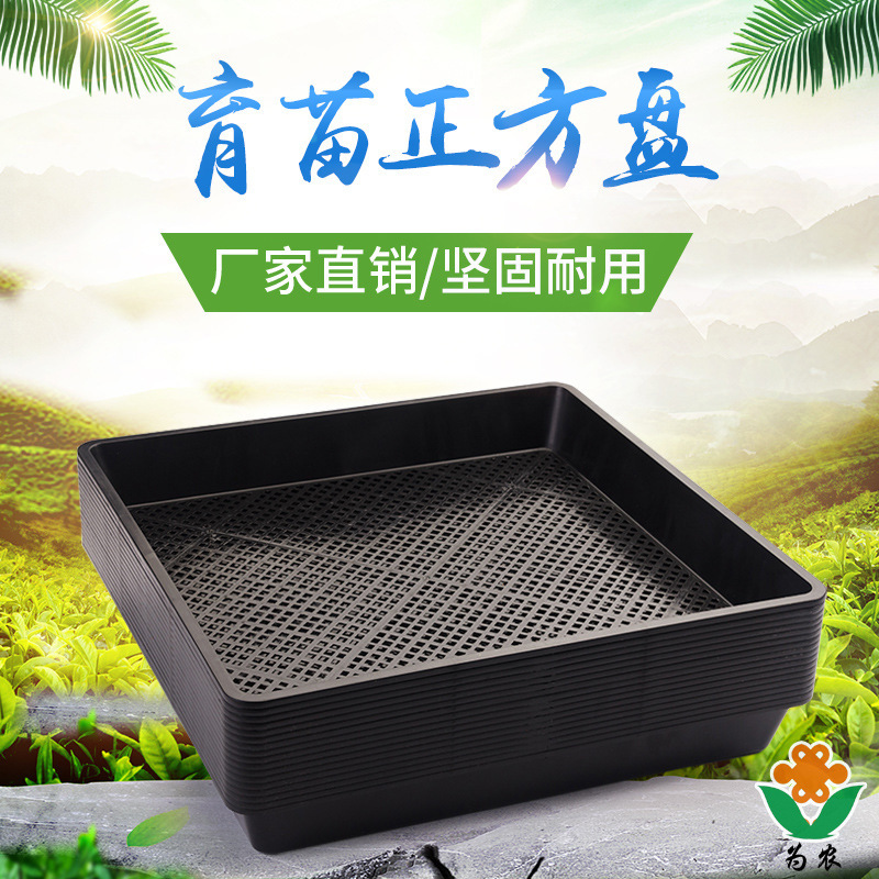 育苗盘田园方盘芽苗菜玛咖石斛多肉育苗盘芽苗菜盘