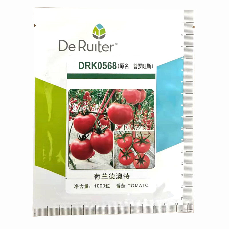 普罗旺斯种子荷兰原装进口大粉番茄果种子春秋水果番茄
