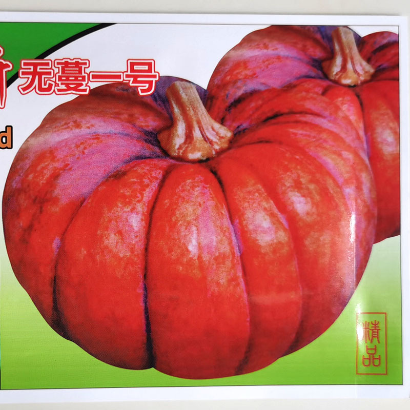 南瓜种子无蔓一号磨盘南瓜棕黄色亩产高老品种大田种