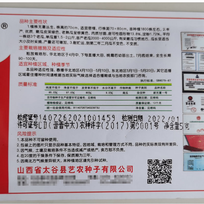 南瓜种子无蔓一号磨盘南瓜棕黄色亩产高老品种大田种