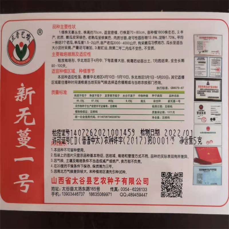 无蔓一号南瓜种子磨盘大南瓜种子甜甘面圆南瓜种子高产抗病