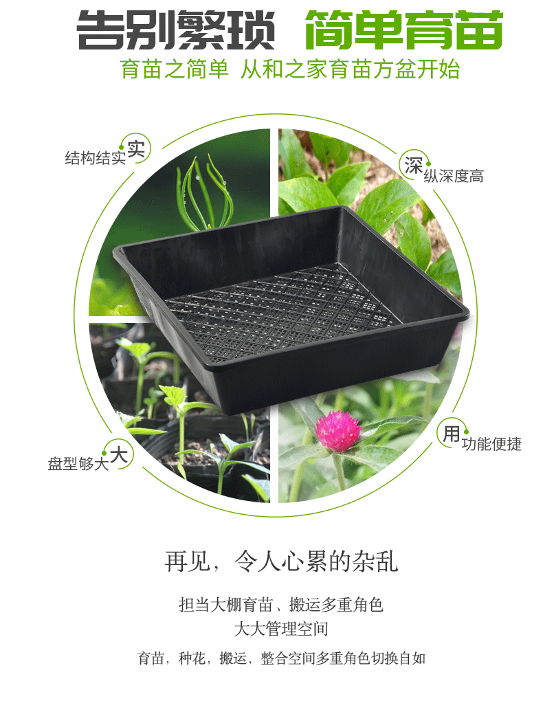 加高芽苗菜育苗盘托盘多肉播种育苗盒种植穴盘芽菜培育箱发豆