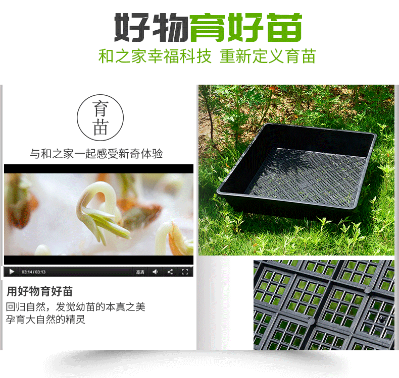 加高芽苗菜育苗盘托盘多肉播种育苗盒种植穴盘芽菜培育箱发豆