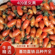 盘锦碱地小番茄圣女果，一件代发产地货源欢迎来电