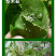 螺虫乙酯介壳虫蚧壳虫粉虱梨木虱茶小绿叶蝉蚜虫杀虫剂
