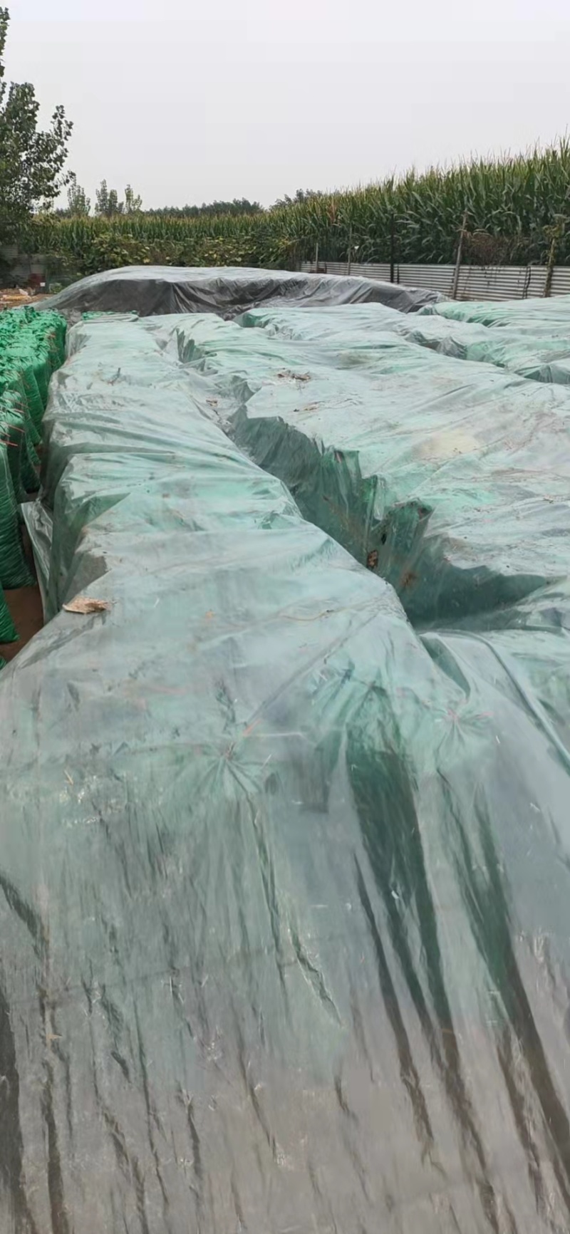 【热卖】农家天然兔粪量大价优质量保障货量充足