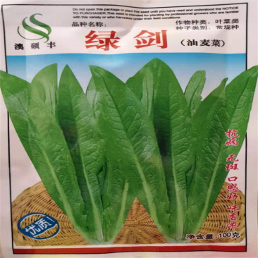 油麦菜种子无斑四季香油麦四季脆香无斑甜油麦菜种菜种子高产
