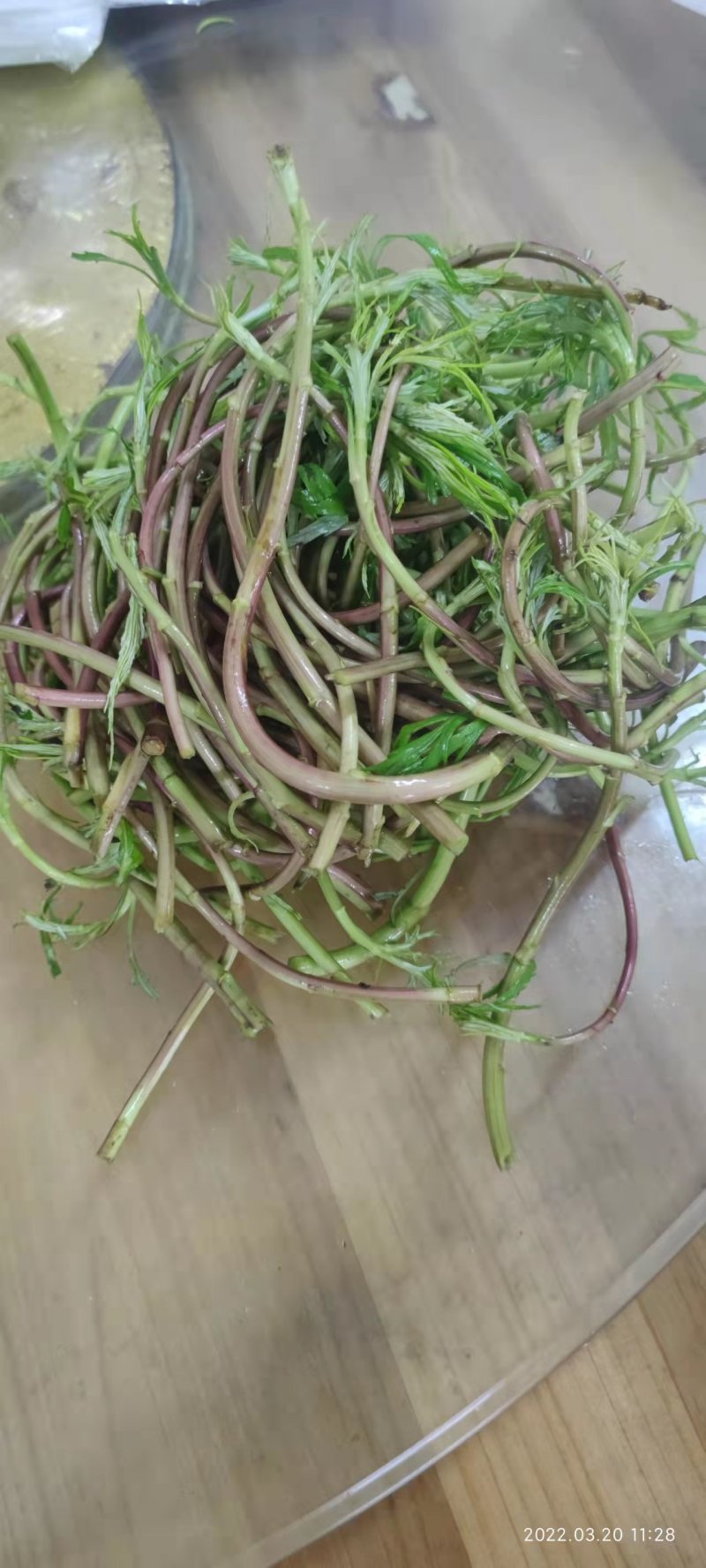 精品柳蒿芽一手货源基地直发视频看货营养丰富各种规格