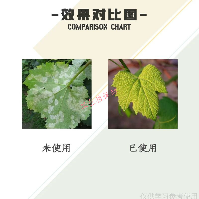 易扑瑞70%烯酰吗啉霜脲氰葡萄甜瓜西瓜霜霉病疫病白锈病杀