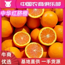 中华红心橙个大，皮薄，颜色红口感甜！常年供货