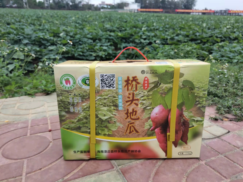 精品红薯海南桥头地瓜精美礼盒装量大从优实物拍摄可实地考察