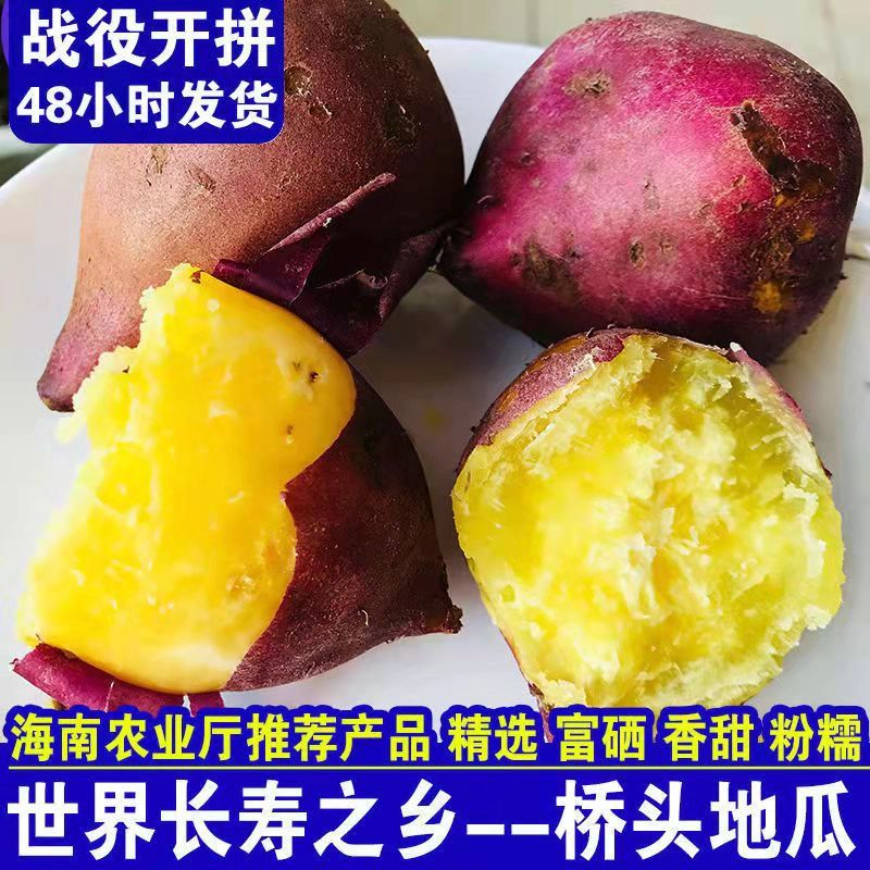 精品红薯海南桥头地瓜精美礼盒装量大从优实物拍摄可实地考察