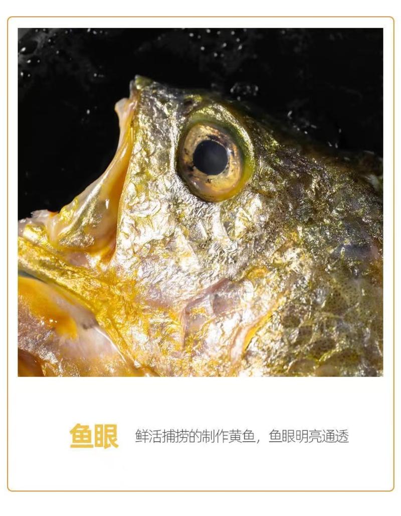 包邮霞浦特产黄鱼鲞250-450g／袋新鲜活鱼制作免杀洗