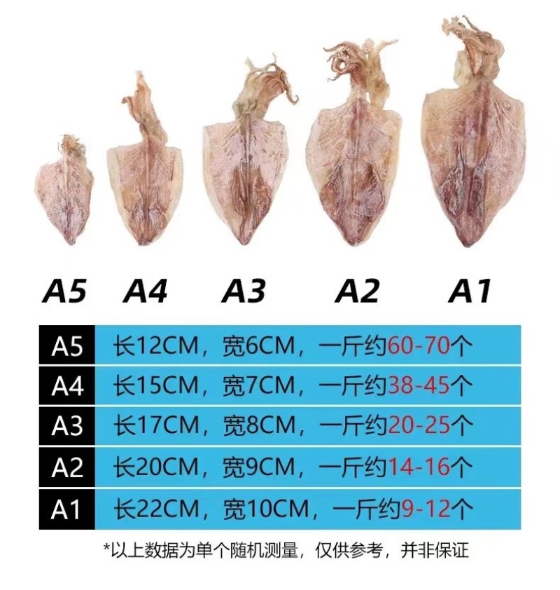 源头批发AAAA烧烤鱿鱼干纯淡干货10-60头规格
