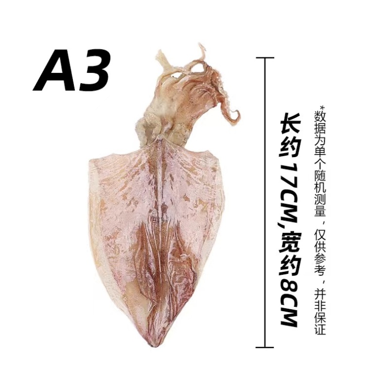源头批发AAAA烧烤鱿鱼干纯淡干货10-60头规格
