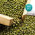 缅多丰缅甸大产区毛绿豆毛杂油豆发芽豆绿豆沙绿豆芽原料源