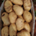 丽薯6号土豆精品4两以上大量现货产地直销量大从优欢迎咨询
