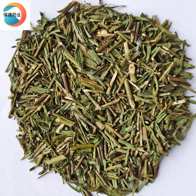 柴胡苗选段柴胡草质量好价格低产地青海