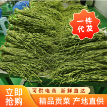 2023年贡菜苔干，云南大理高原贡菜！精品10公分段定制