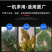 大功率喂牛干湿秸秆揉丝牧草粉碎机全自动进料铡草揉丝机