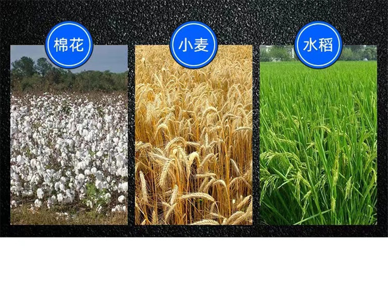 自动进料秸秆粉碎揉丝机牛羊养殖切碎草机卧式铡草揉丝机